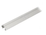 Profil Aluminiu Argintiu pentru Module LED 1m