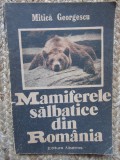 MAMIFERELE SALBATICE DIN ROMANIA-MITICA GEORGESCU, Didactica si Pedagogica