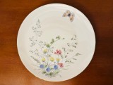 FARFURIE DIN PORTELAN FIN- MARCAJ SELTMANN WEIDEN BAVARIA D19,5cm