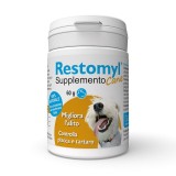 Cumpara ieftin Restomyl Supplement, Caine, 60 g, Innovet
