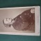 Fotografie tip cdv , RICHARD WAGNER , dimensiuni 11 cm x 6 cm