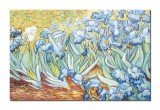 Cumpara ieftin Tablou gigant celebru pictat manual living, Irisi la Saint-Remy, 150x100cm ulei pe panza, reproducere Vincent van Gogh