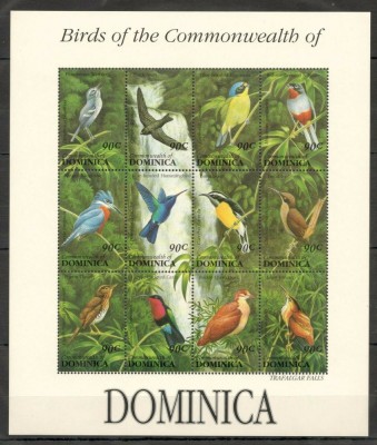 DOMINICA 1993 PASARI foto