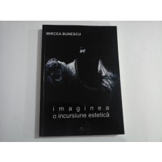 IMAGINEA O INCURSIUNE ESTETICA - MIRCEA BUNESCU