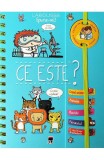 Spune-mi ce este? - RAO
