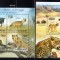 TOGO 2011, Fauna, serie neuzata, MNH