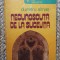 Dumitru Almas - Necunoscuta de la Sucevita
