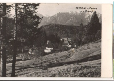 CPIB 15772 CARTE POSTALA - PREDEAL. VEDERE SPRE BUCEGI, RPR foto