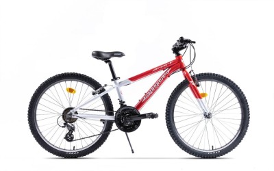 PEGAS DRUMET 24&amp;#039;&amp;#039; ROSU ALB foto
