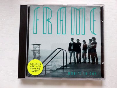 Frame &amp;ndash; What&amp;#039;s To Say, CD muzica Pop Rock, New Wave, 1991 foto