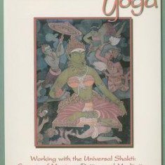 Inner Tantric Yoga: Working with the Universal Shakti: Secrets of Mantras, Deities, and Meditation