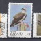 SPANIA 1999 FAUNA ANIMALE RARE SERIE MNH