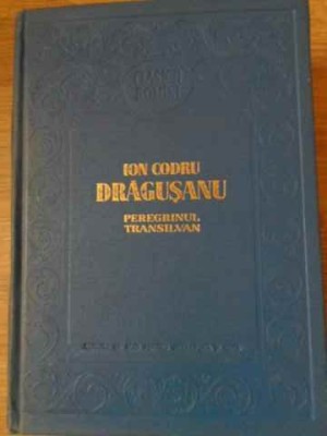 PEREGRINUL TRANSILVAN-ION CODRU DRAGUSANU-229318 foto