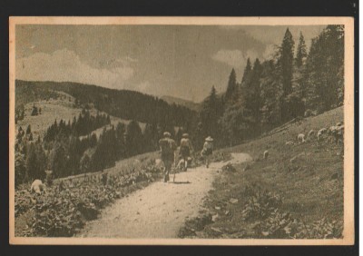 CPIB 15536 CARTE POSTALA - BUCEGI, SPRE DIHAM, RPR, 1953 foto