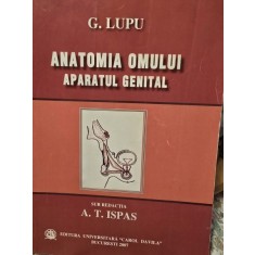 G. Lupu - Anatomia omului. Aparatul genital