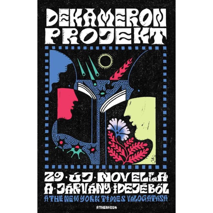 Dekameron-projekt - 29 &uacute;j novella a j&aacute;rv&aacute;ny idej&eacute;ből - A The New York Times v&aacute;logat&aacute;sa - Rivka Galchen