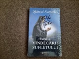 Sfantul Nectarie - Tainele vindecarii sufletului
