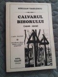 Stelian Vasilescu Calvarul Bihorului 1918-1919