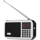 Cumpara ieftin Radio portabil cu acumulator GoGEN FMP 125 BTW, FM, Bluetooth, lanterna, card