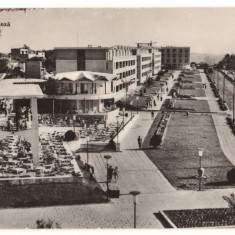 CPIB 17445 CARTE POSTALA - MANGALIA. PE FALEZA, RPR