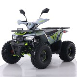 Atv Asix Hunter 125cc, roti 8 inch, 1+1 viteze, culoare gri/lime Cod Produs: MX_NEW A6-HUN12586-5