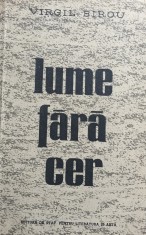 LUME FARA CER VIRGIL BIROU foto