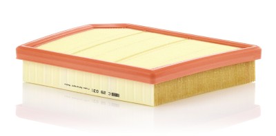 MANN-FILTER C 29 031 Filtru aer foto