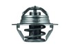 MAHLE TX 100 89D termostat,lichid racire