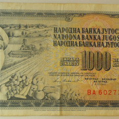 Bancnota 1000 DINARI / DINARA - RSF YUGOSLAVIA, anul 1981 *cod 414