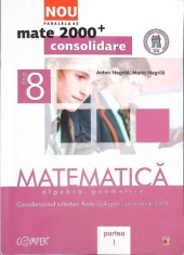 MATEMATICA, ALGEBRA, GEOMETRIE. CLASA A VIII-A, PARTEA I-ANTON NEGRILA, MARIA NEGRILA-330259
