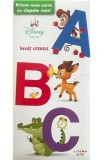 ABC. Invat literele. Prima mea carte cu clapete mari - Sara Miller