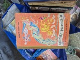 Căciula piticului vintage