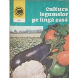CULTURA LEGUMELOR PE LANGA CASA-HARALAMBIE POPESCU-258969