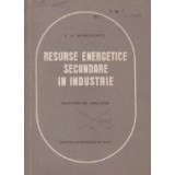 Resurse energetice secundare in industrie (traducere din limba rusa)