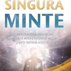 Singura minte - larry dossey carte