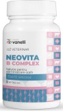 Supliment nutritiv lichid pentru bovine, ovine, caprine, păsări și porcine Neovita B Complex 100 ml