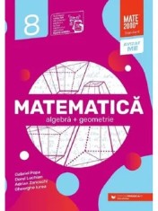 Matematica. Algebra + Geometrie. Clasa 8-a/Gabriel Popa, Dorel Luchian, Adrian Zanoschi, Gheorghe Iurea