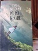 Ioana Nicolae - Pelinul Negru