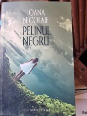 Ioana Nicolae - Pelinul Negru foto