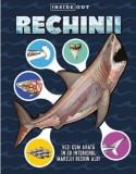 Rechinii - 3D - Kreativ