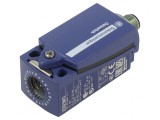 Corp de Iluminat ZCP21M12