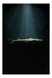 Tablou Canvas, "Rechinul sub lumina oceanului albastru", Rechin, Lumină, Ad&acirc;ncuri, Mister, Solitudine, Ocean, Siluetă, Elegant, &Icirc;ntuneric, Contrast, 2