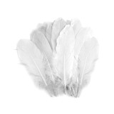 Set 20 pene decorative gasca Kyrra, lungime 15 -21 cm, Alb
