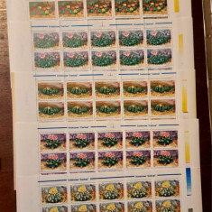 TIMBRE ROMÂNIA LP1433/1997 -CACTUȘI - Set 6 coli 25 de timbre - MNH