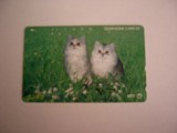 B11 72 - Carduri si cartele telefonice - Japonia - Pisici - piesa de colectie