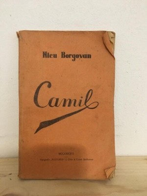 Nicu Borgovan -Camil foto