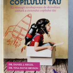 CREIERUL COPILULUI TAU de DANIEL J . SIEGEL si TINA PAYNE BRYSON , 2017 *MICI DEFECTE