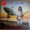 LP (vinil) Steve Hillage - Motivation Radio (VG+)