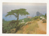 FA4 - Carte Postala - UCRAINA - Crimeea , Simezi ( CCCP ) , necirculata 1989