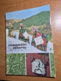 revista magazin istoric decembrie 1971